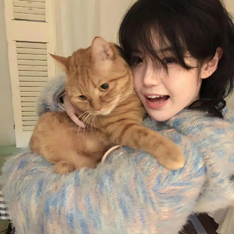 大脑中的猫
